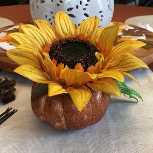 Meet your Posher, Haydee